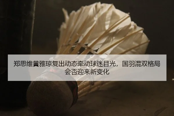 郑思维黄雅琼复出动态牵动球迷目光，国羽混双格局会否迎来新变化
